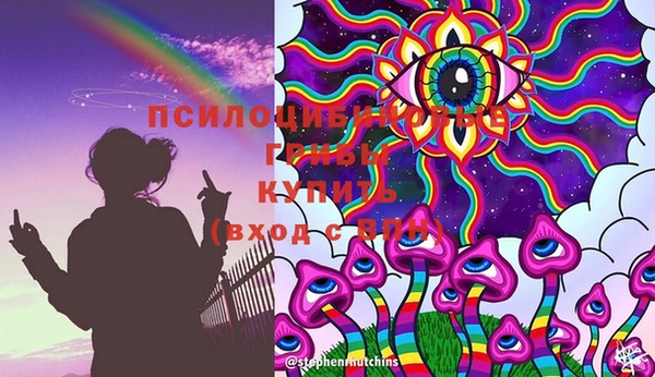 герыч Алексин